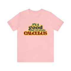 It's a Good Day to do Calculus Shirt | School Unisex T-Shirt