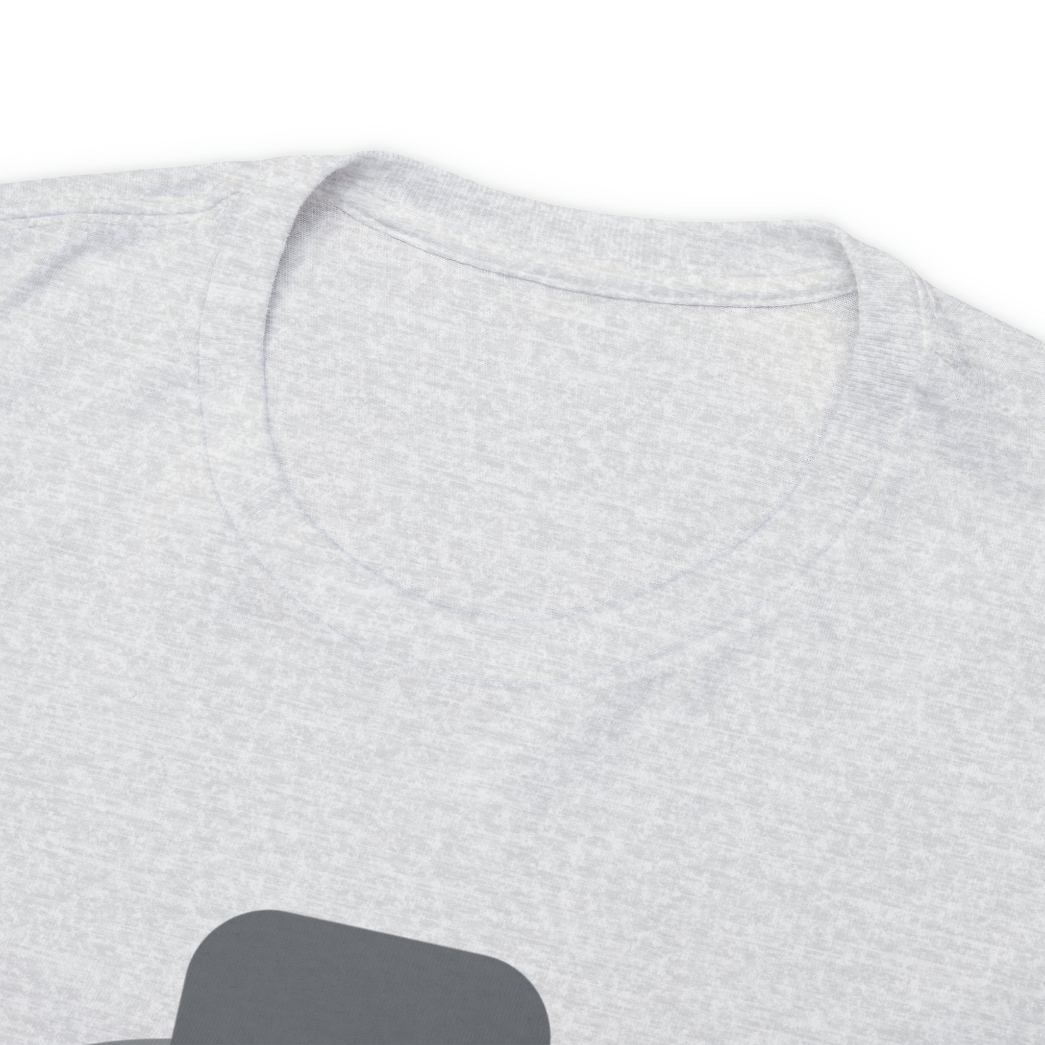 Have A Good Day Shirt | Cat Lover Unisex T-Shirt