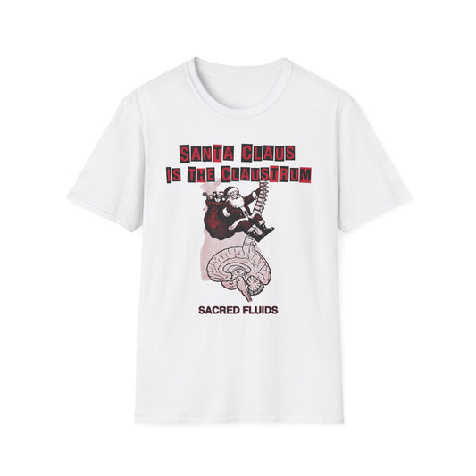 Santa Claus Is The Claustrum T-Shirt — Retro Anatomical Christmas Tee