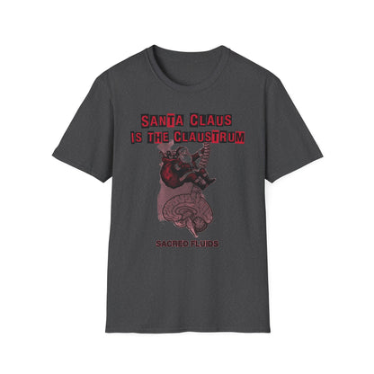 Santa Claus Is The Claustrum T-Shirt — Retro Anatomical Christmas Tee