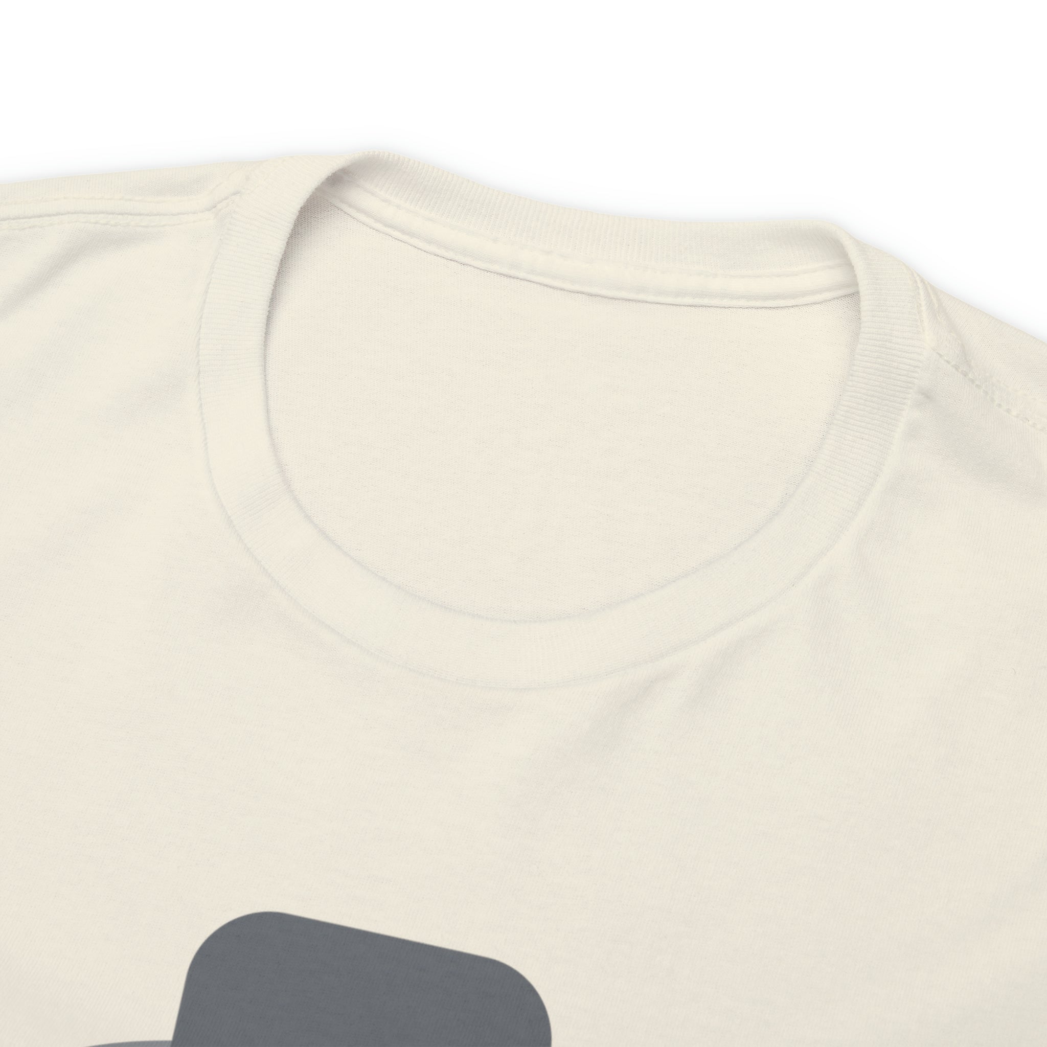 Have A Good Day Shirt | Cat Lover Unisex T-Shirt