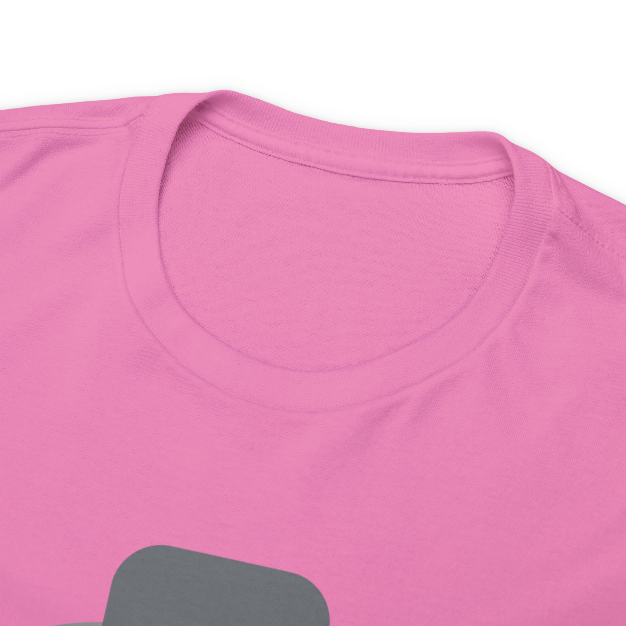 Have A Good Day Shirt | Cat Lover Unisex T-Shirt