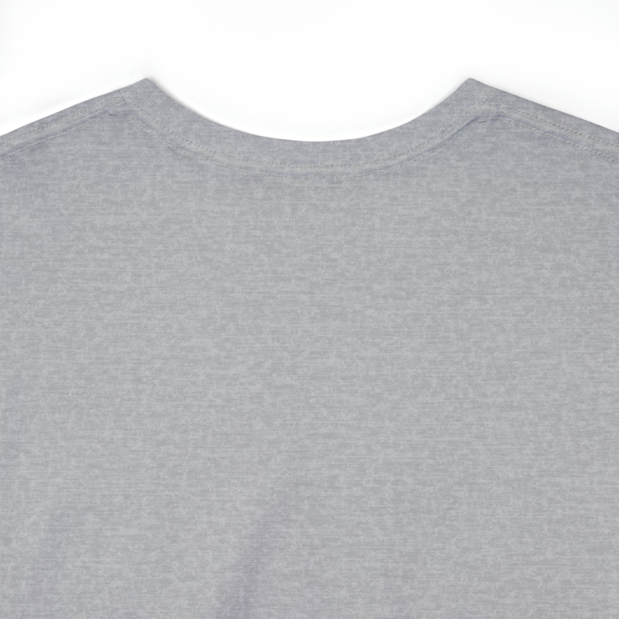 Have A Good Day Shirt | Cat Lover Unisex T-Shirt