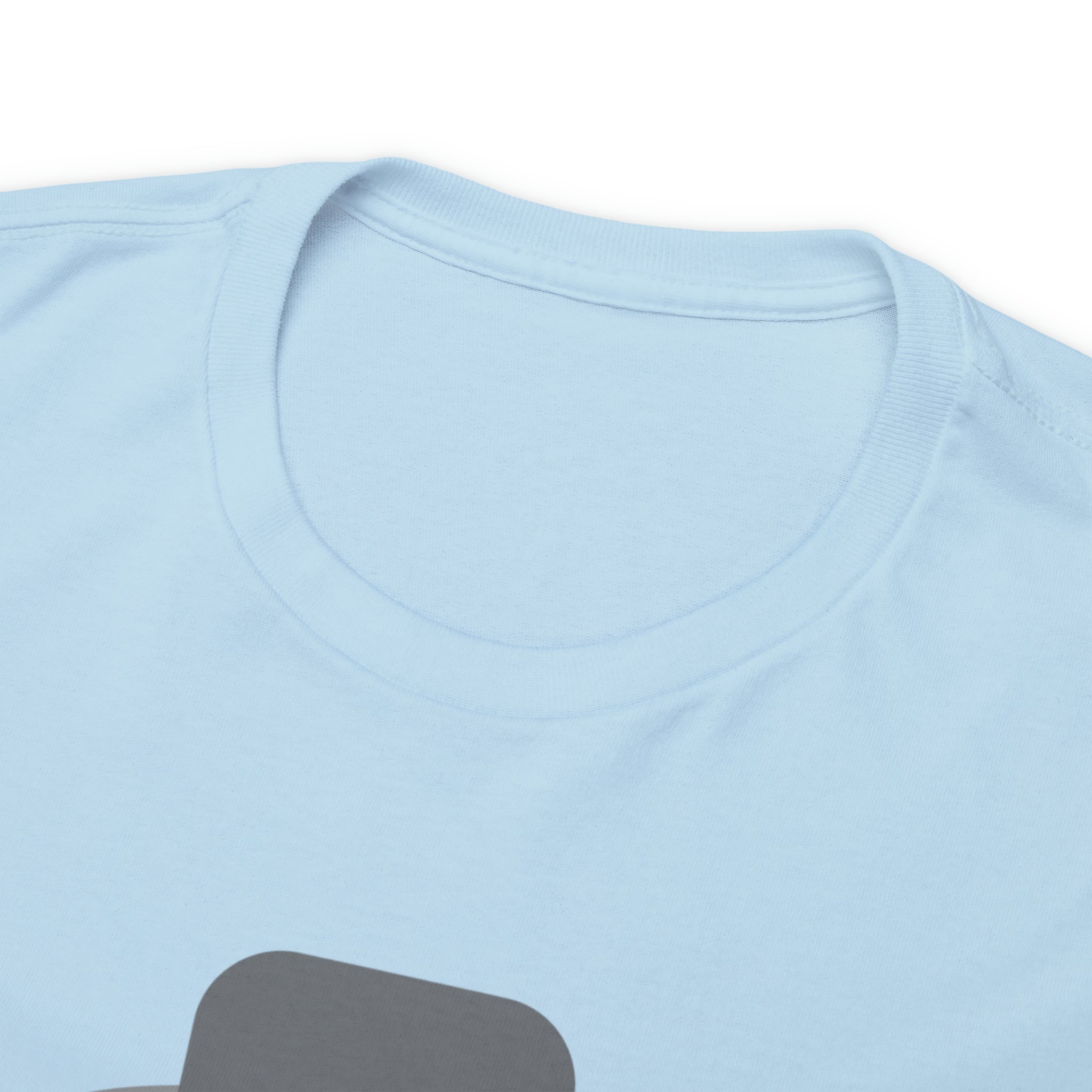 Have A Good Day Shirt | Cat Lover Unisex T-Shirt