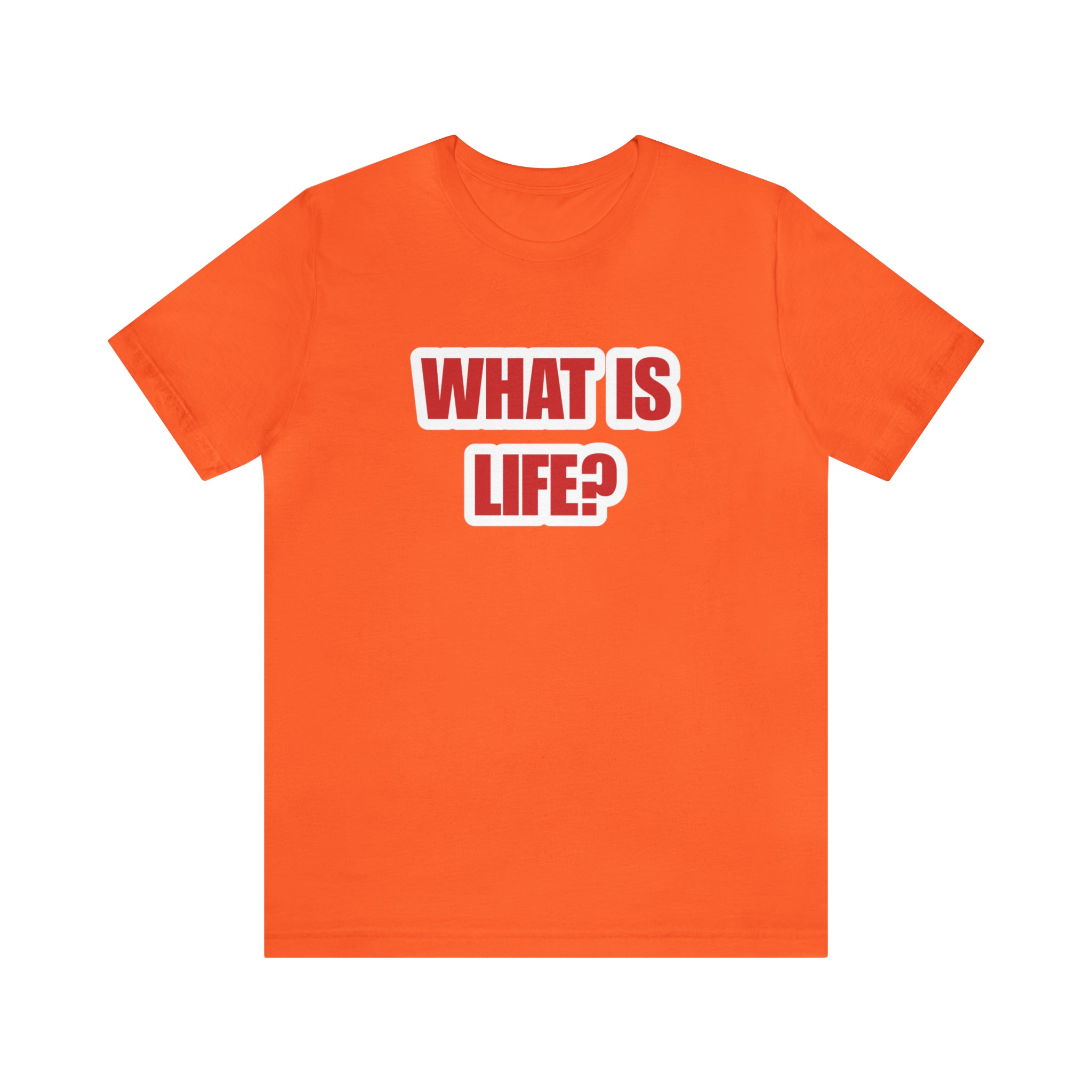 What Is Life? Existential Shirt | Ambiguous Existential Crisis T-Shirt