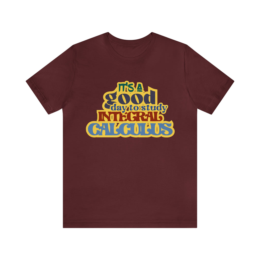 It's a Good Day to Study Integral Calculus | School Unisex T-Shirt