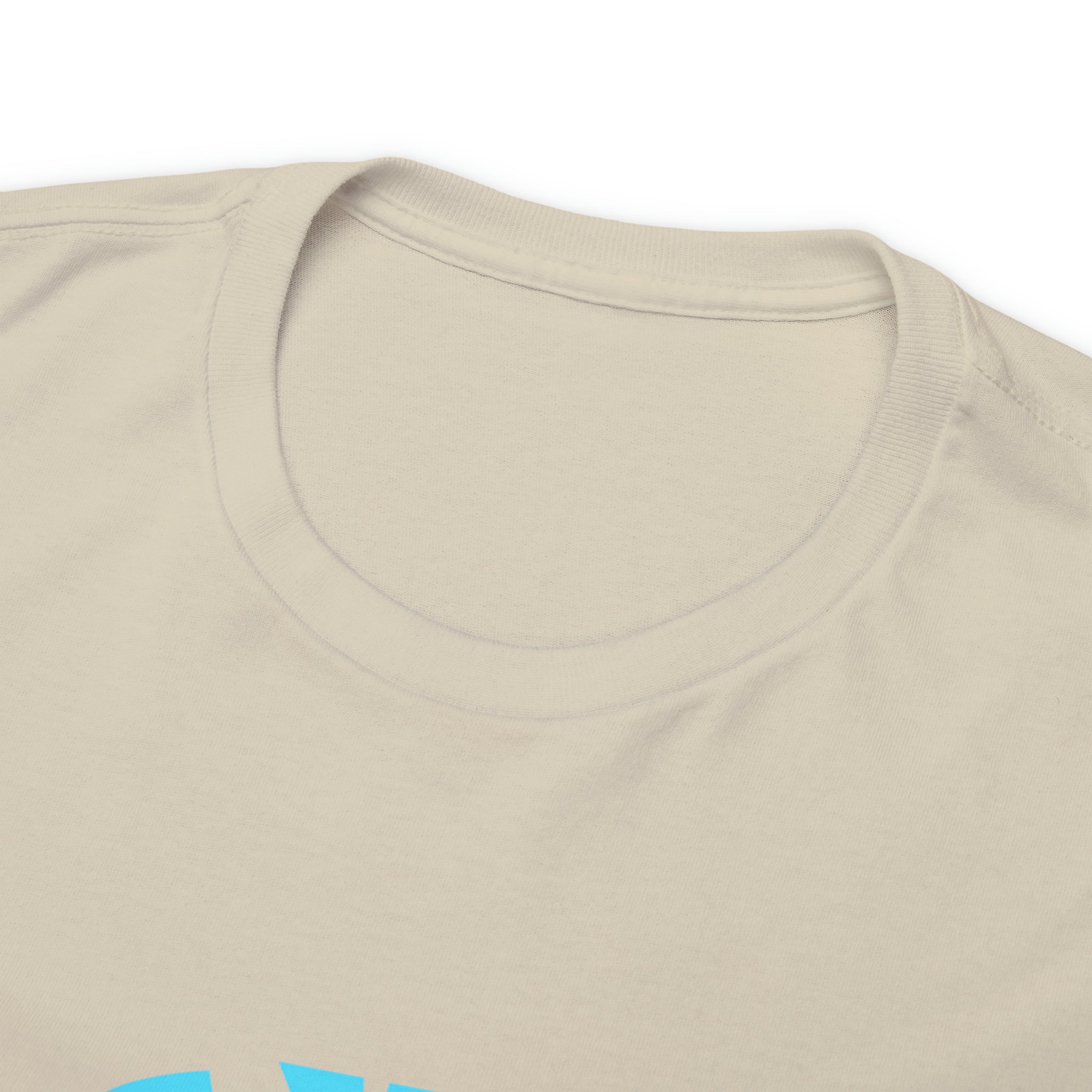 Gym Lover Shirt | The Gym Lover's Must-Have T-shirt