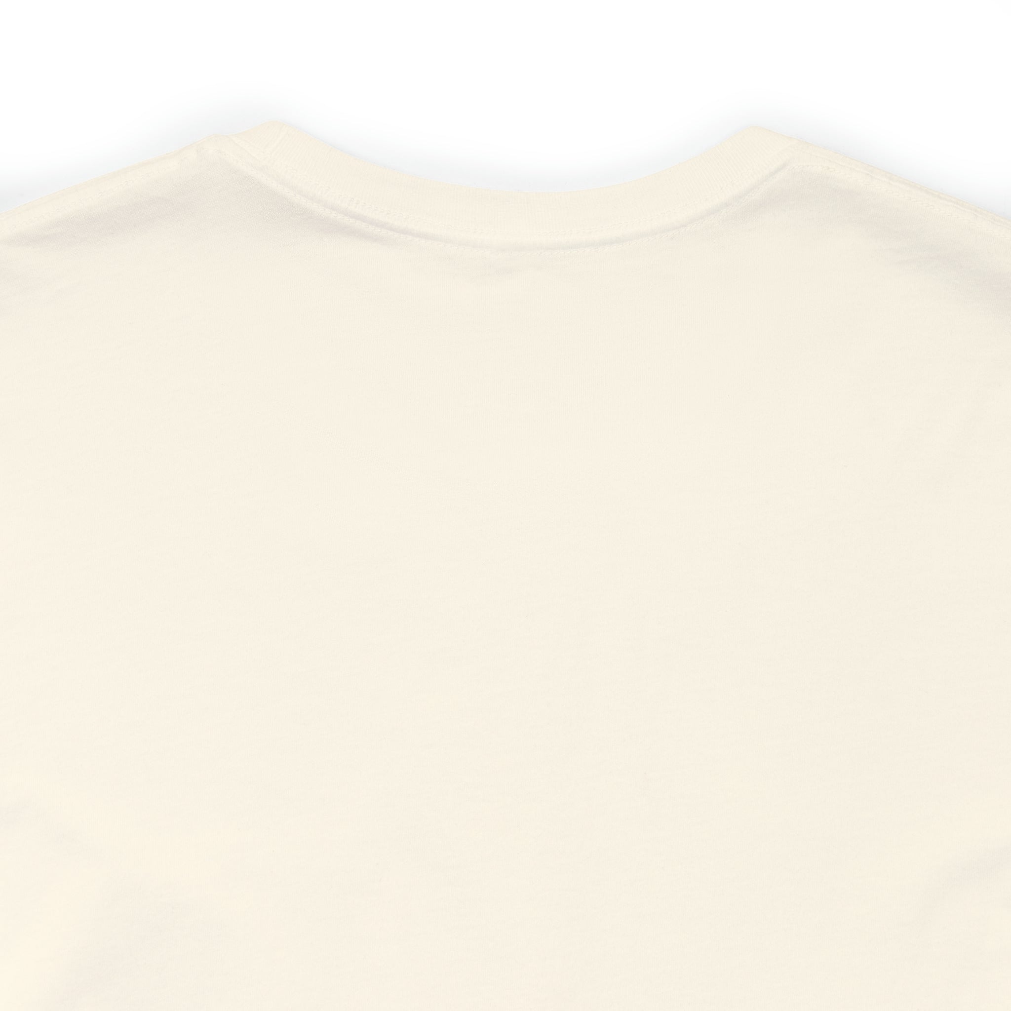 National Rollercoaster Day T-Shirt 2 | Carnival Ride Shirt