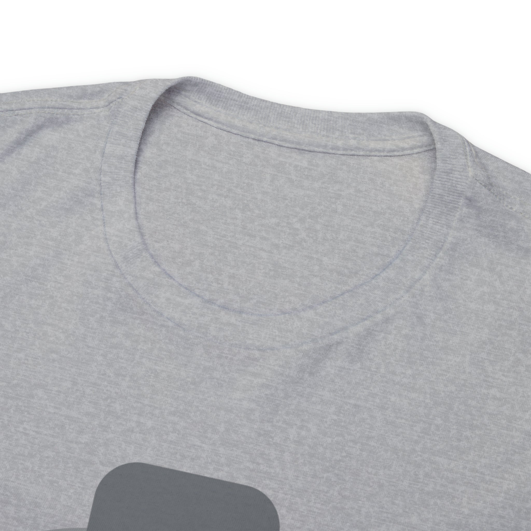 Have A Good Day Shirt | Cat Lover Unisex T-Shirt