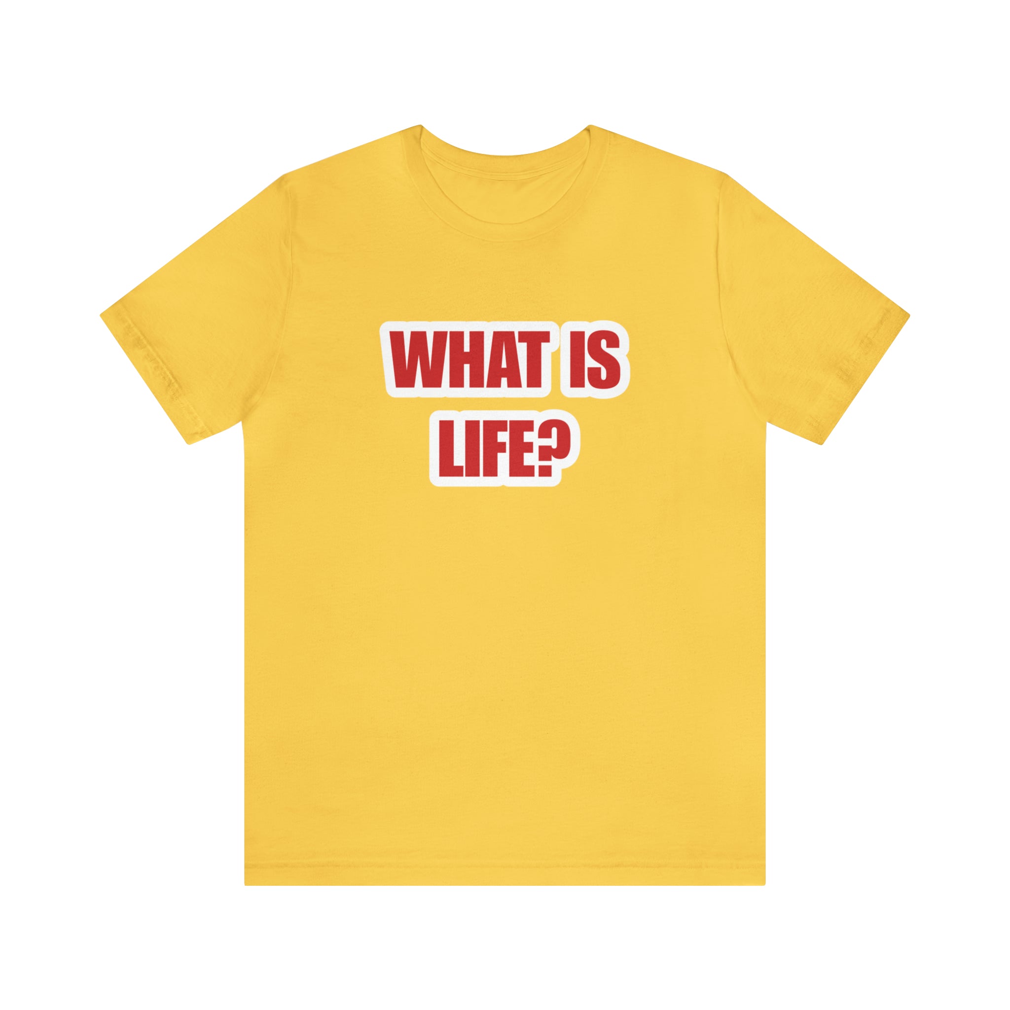 What Is Life? Existential Shirt | Ambiguous Existential Crisis T-Shirt