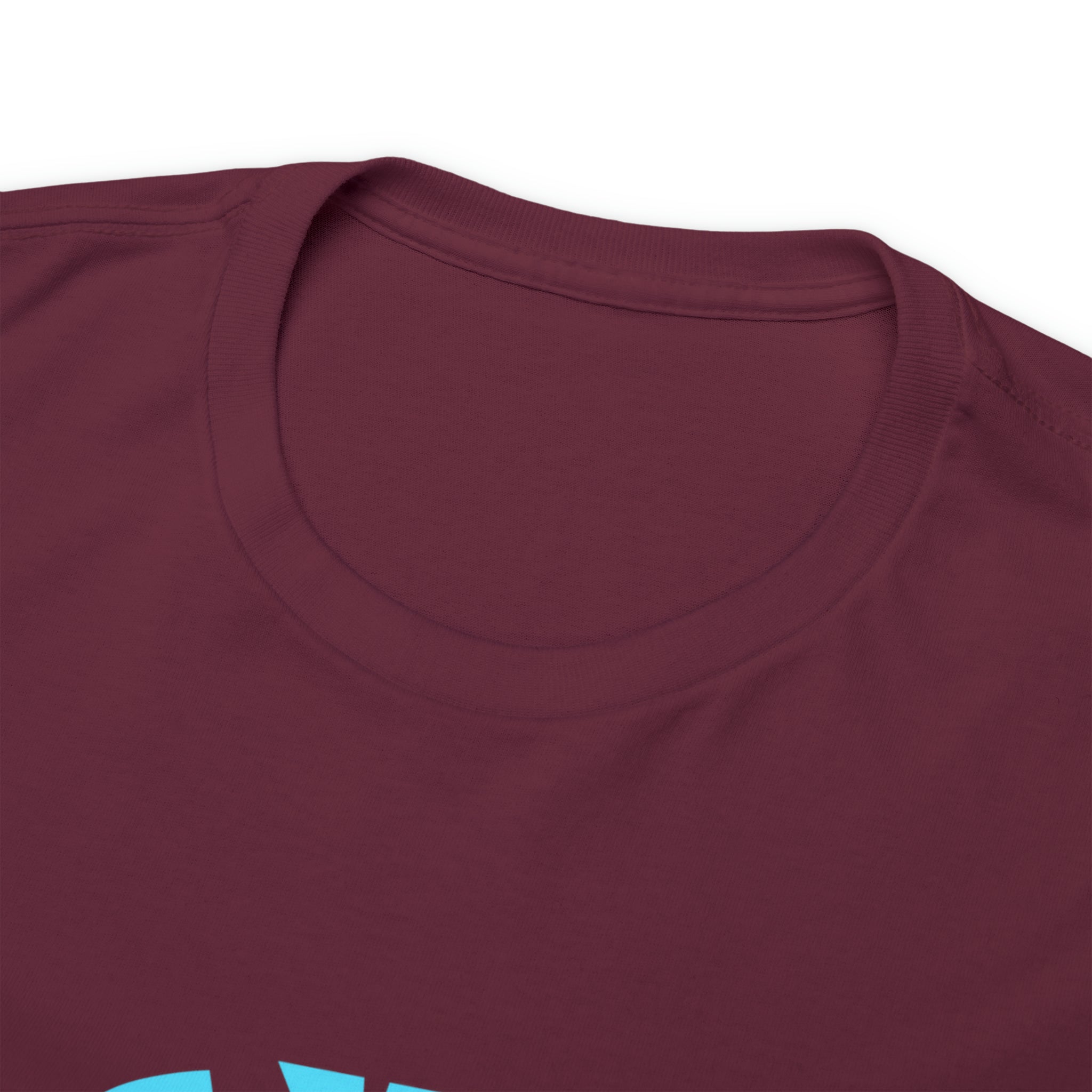 Gym Lover Shirt | The Gym Lover's Must-Have T-shirt