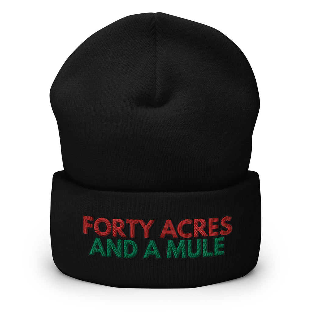 Forty Acres And A Mule Cuffed Beanie - Black Slave History