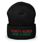 Forty Acres And A Mule Cuffed Beanie - Black Slave History