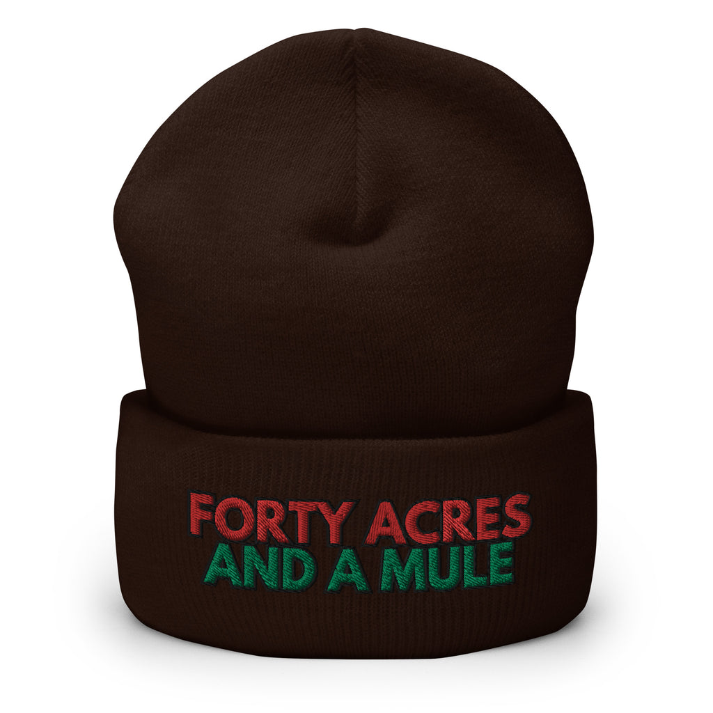 Forty Acres And A Mule Cuffed Beanie - Black Slave History