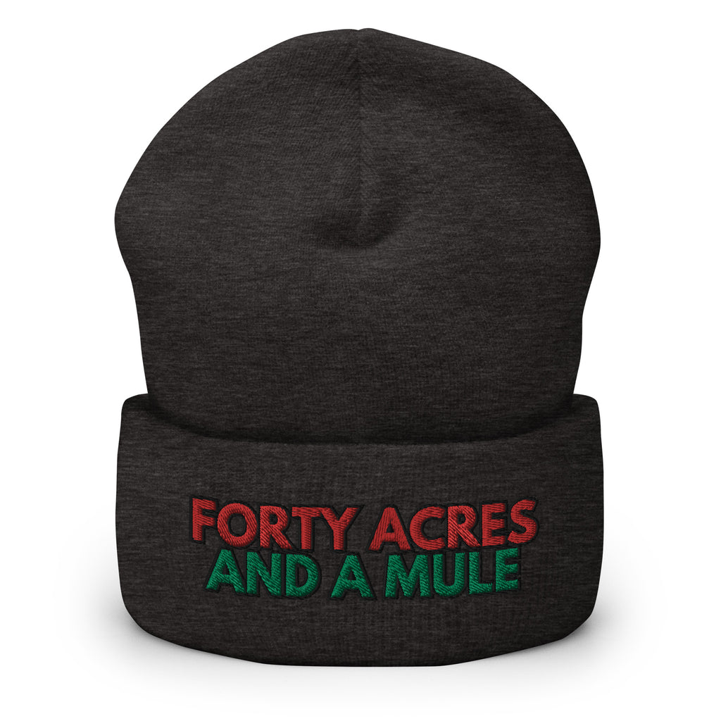 Forty Acres And A Mule Cuffed Beanie - Black Slave History