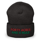 Forty Acres And A Mule Cuffed Beanie - Black Slave History