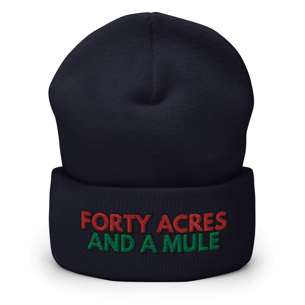 Forty Acres And A Mule Cuffed Beanie - Black Slave History