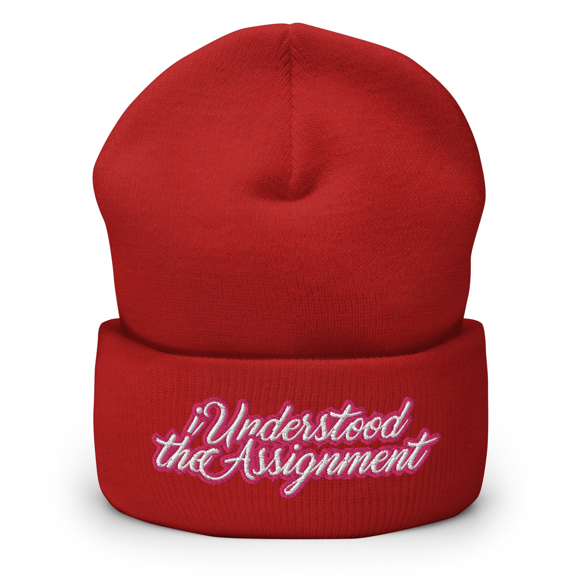 I Understood the Assignment Cuffed Beanie - Modern Slang Pink Beanie
