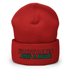 Forty Acres And A Mule Cuffed Beanie - Black Slave History